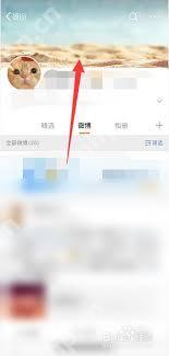 如何挑选并更换理想的微博背景图