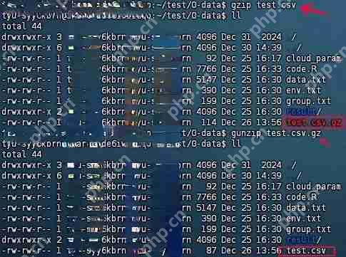 效率翻倍！Linux 文件压缩与解压技术详解