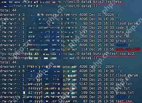 效率翻倍！Linux 文件压缩与解压技术详解