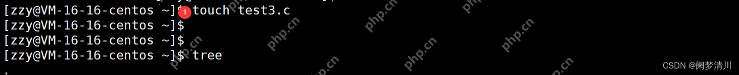 linux权限