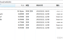 Linux安装部署Redis6.2.5图文教程
