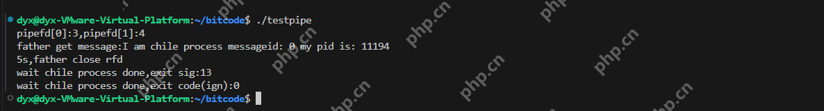 【Linux】进程间通信：匿名管道与进程池