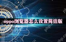oppo浏览器怎么设置简洁模式