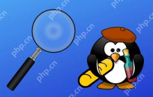 如何在 Linux 中查找大文件？