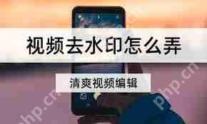 即录剪辑如何去除水印