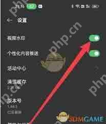 即录剪辑如何去除水印