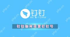 钉钉如何设置钉钉号