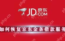 如何恢复京东金条借款服务