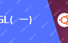 玩转 wsl（一）—— wsl 的安装