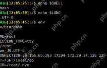 命令执行一些特殊作用的字符 | Linux Bypass