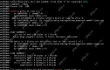 【Linux】内存检测工具Valgrind