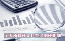 个人所得税如何查询纳税明细