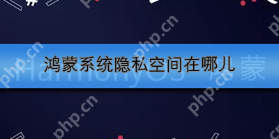 鸿蒙系统隐私空间在哪儿