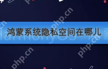 鸿蒙系统隐私空间在哪儿