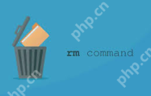 如何在 Linux 中强制删除目录？