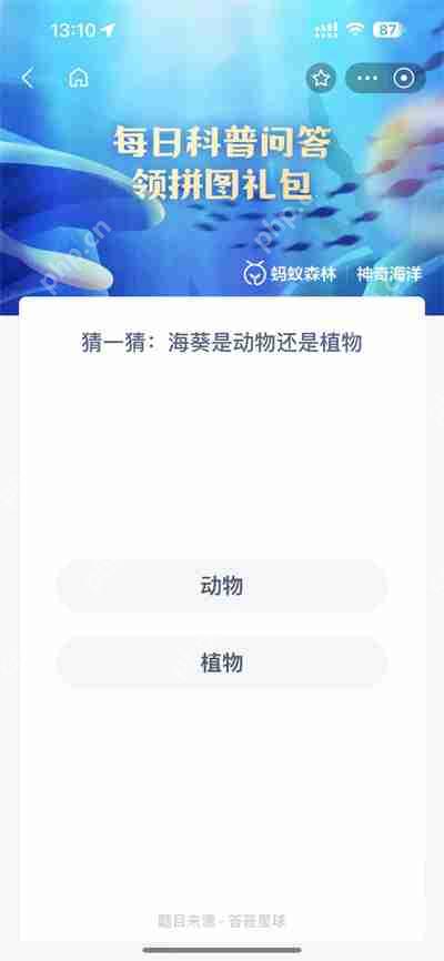 支付宝神奇海洋4.26日答案是什么
