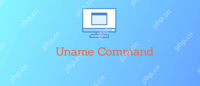 Linux中的uname命令:获取系统内核和操作系统的相关信息