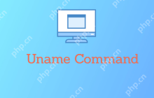 Linux中的uname命令：获取系统内核和操作系统的相关信息