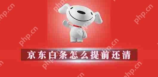 京东白条怎么提前还清