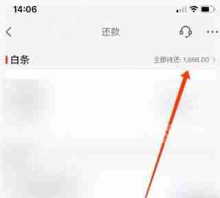 京东白条怎么提前还清