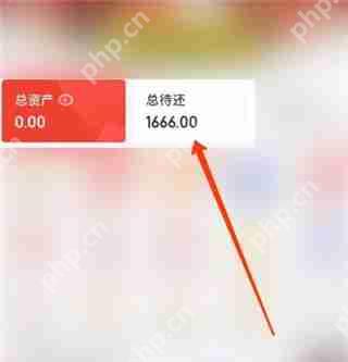 京东白条怎么提前还清