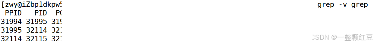 【Linux进程概念】—— 操作系统中的“生命体”，计算机里的“多线程”