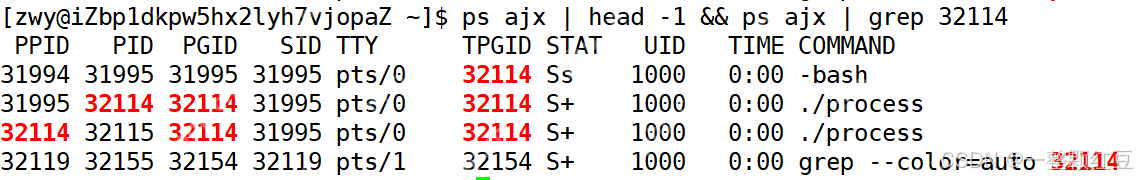 【Linux进程概念】—— 操作系统中的“生命体”，计算机里的“多线程”
