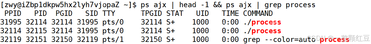 【Linux进程概念】—— 操作系统中的“生命体”，计算机里的“多线程”