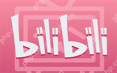 哔哩哔哩手机端怎么查看在线人数