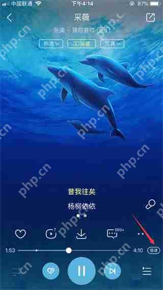 酷狗音乐倍速怎么调