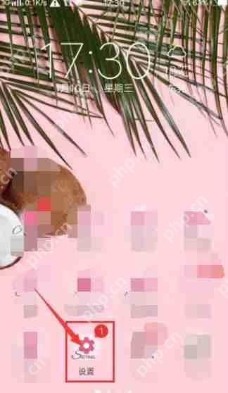 vivo浏览器禁止访问网站怎样取消