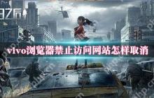 vivo浏览器禁止访问网站怎样取消