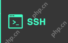 Linux 系统管理员有用的 SSH 备忘单