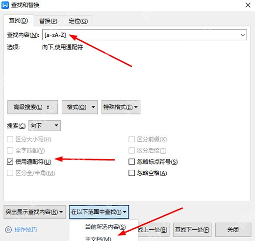 WPS文字怎么快速查找所有字母内容