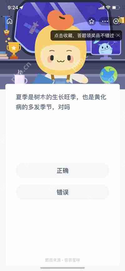 夏季是树木生长的旺季也是黄化病的多发季节对吗