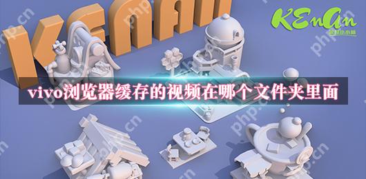 vivo浏览器缓存的视频在哪个文件夹里面