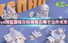 vivo浏览器缓存的视频在哪个文件夹里面