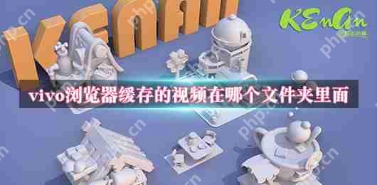 vivo浏览器缓存的视频在哪个文件夹里面