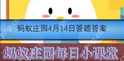 三月三壮族同胞通常会制作什么特色美食庆祝