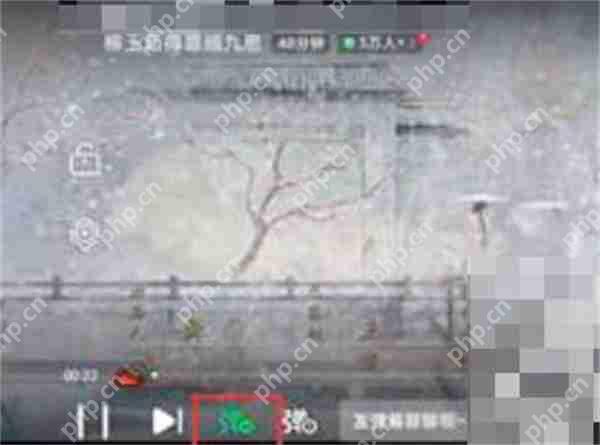爱奇艺弹幕开关键在哪里
