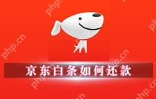 京东白条如何还款