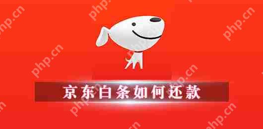 京东白条如何还款