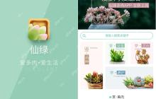 专业的小程序代运营服务包括哪些内容？