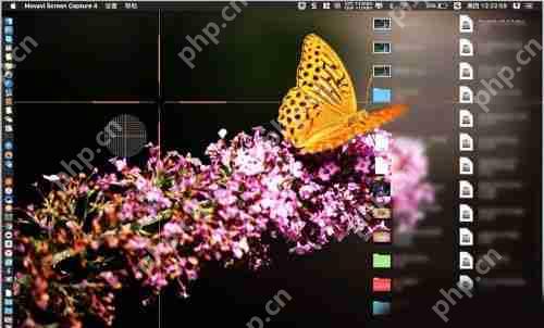 Movavi Screen Recorder怎么用