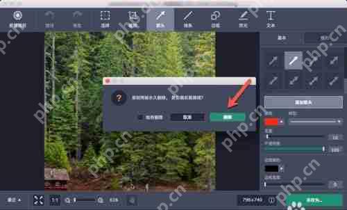 Movavi Screen Recorder怎么用