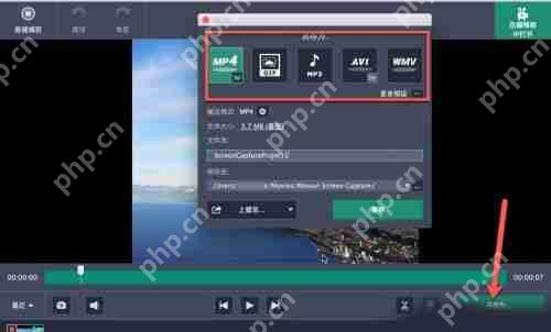 Movavi Screen Recorder怎么用
