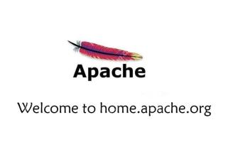 下载Apache时出现重复下载的问题排查