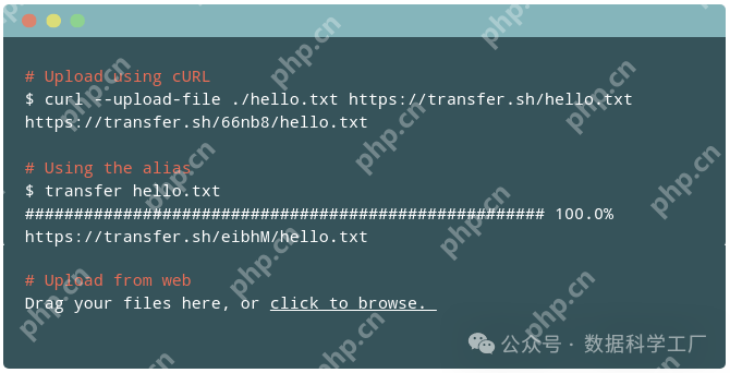 Linux|Transfer.sh 轻松实现文件共享