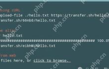 Linux|Transfer.sh 轻松实现文件共享