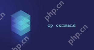 如何在 Linux 中复制和重命名文件？